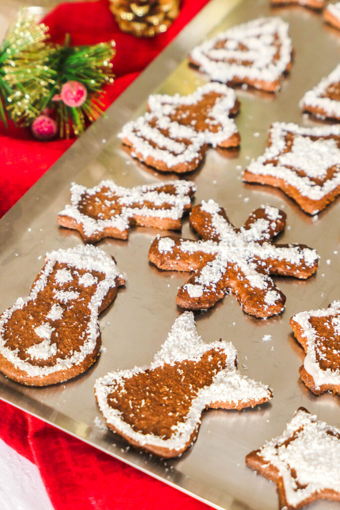 biscuits de noël chocolat noix de coco psyllium blond healthy digestion facile